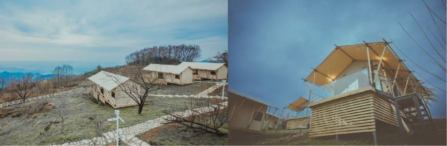 望青来野奢营地项目